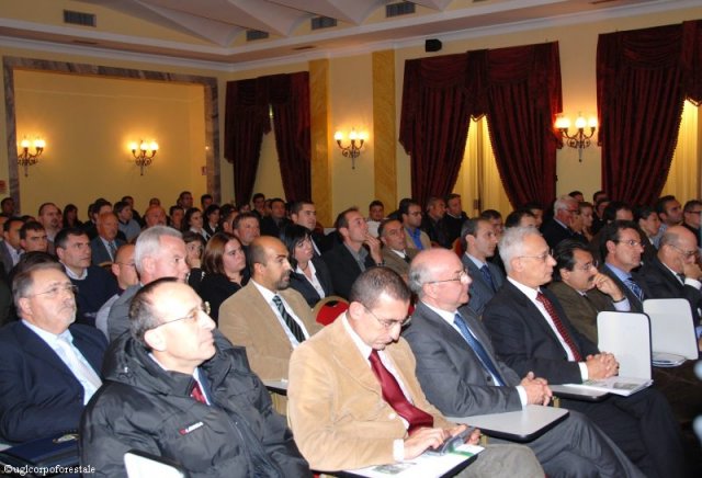 Roma - Convegno Incendi boschivi